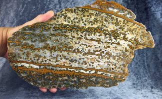 XXXL Scheibe River Jaspis, Indonesien, 021JA