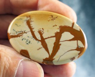 Owyhee Picture Jaspis Cabochon, USA, 250CB