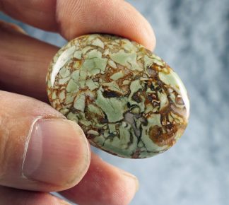 Regenwald Jaspis Cabochon, Australien, 264CB