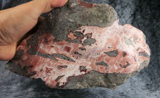 XXL Achat Hellerberg Freisen, Deutschland, 039D