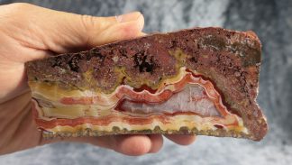 XL Achat Baumholder, Deutschland, 046D