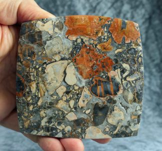 XL Scheibe Maligano Jaspis, Indonesien, 039JA