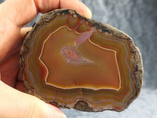 XL Condor Achat, Argentinien, 035AR