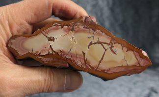 XL Red Falcon Jaspis, 036US