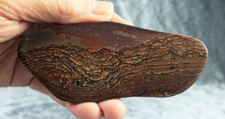 XL Deschutes Landschafts Jaspis, 043JA