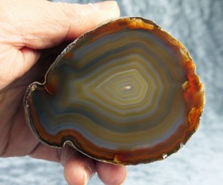 Achat Rio Grande do Sul, 078BR