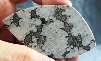 Cabochon Achat USA (Bear Canyon?), 311CB