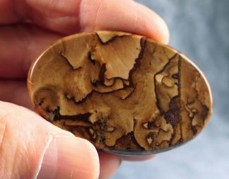 Cabochon Deschutes Picture Jaspis, 317CB