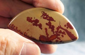 Cabochon Owyhee Flower Jaspis, 329CB