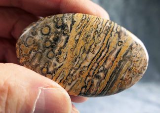 Cabochon Leoparden Jaspis, 333CB