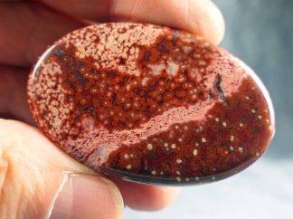 Cabochon Olympic Poppy Jaspis, 335CB