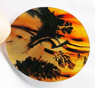 Dendriten Achat Brasilien, 348CB