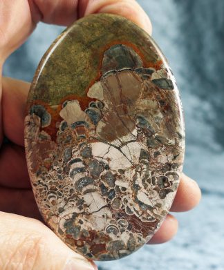 XL Mushroom Jaspis, USA, 373CB