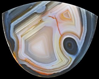 XL Achat Brasilien, 394CB