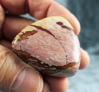 Owyhee Flower Jaspis, USA, 395CB