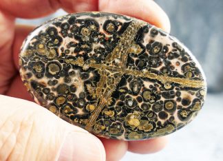 Leoparden Jaspis, Südafrika, 397CB