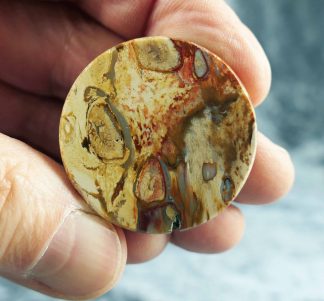 Achatisiertes Palmholz, Indonesien, 401CB