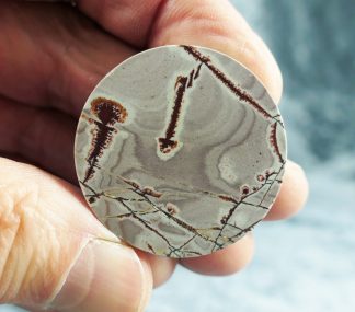 Sonora Dendritic Jaspis, Mexiko, 404CB