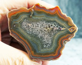 Condor Achat, Argentinien, 036AR