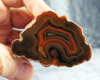 Condor Achat, Argentinien, 039AR