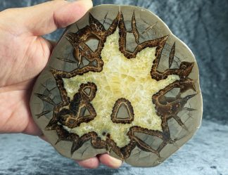 XXL Septarie Scheibe, USA, 045ED
