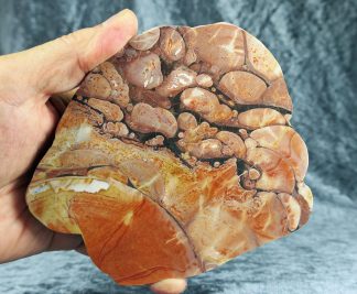 XL Endstück Opal Butte Jaspis, USA, 049JA